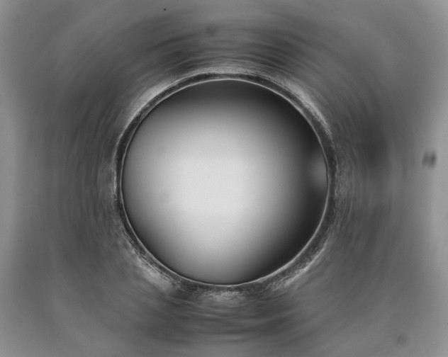 X0000090450837200707201312