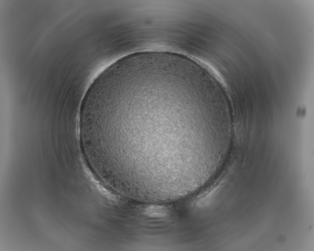 X0000090450839200707201312