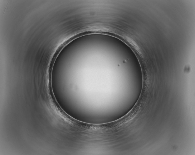X0000090450840200707201312