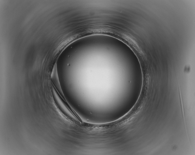 X0000090450841200707201312