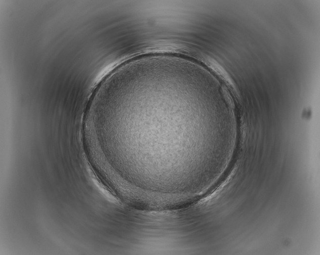 X0000090450842200707201312