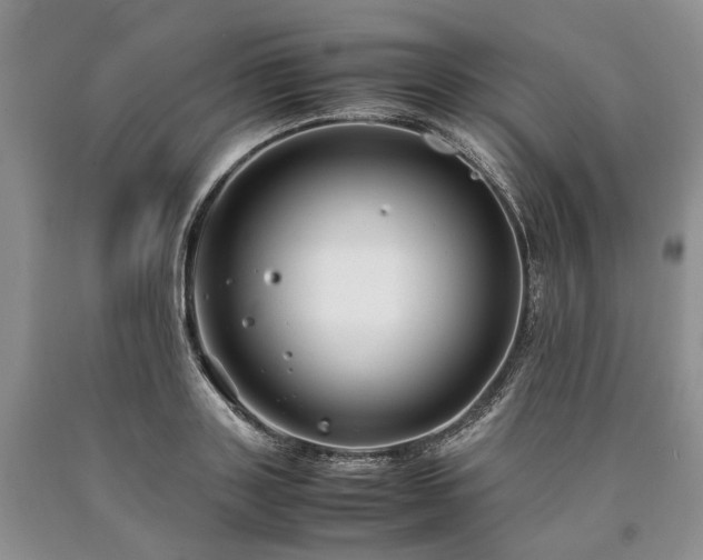 X0000090450843200707201312