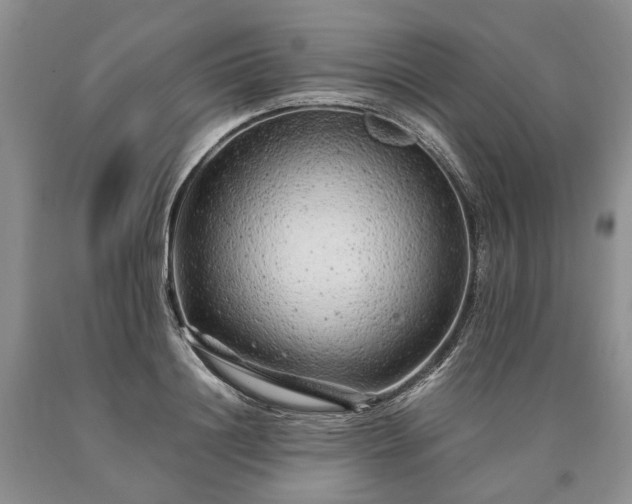 X0000090450844200707201312