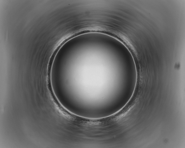 X0000090450845200707201312