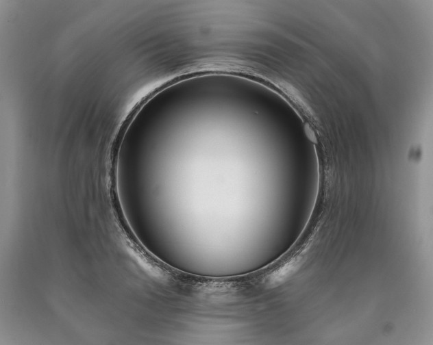 X0000090450846200707201312