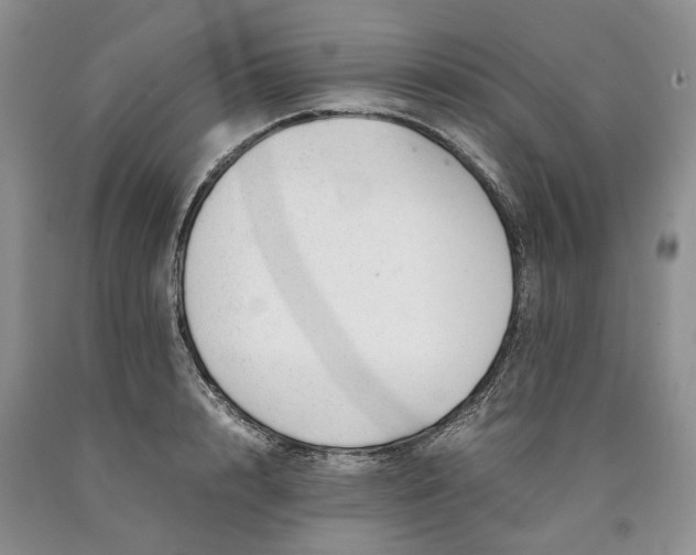 X0000090450848200707201312
