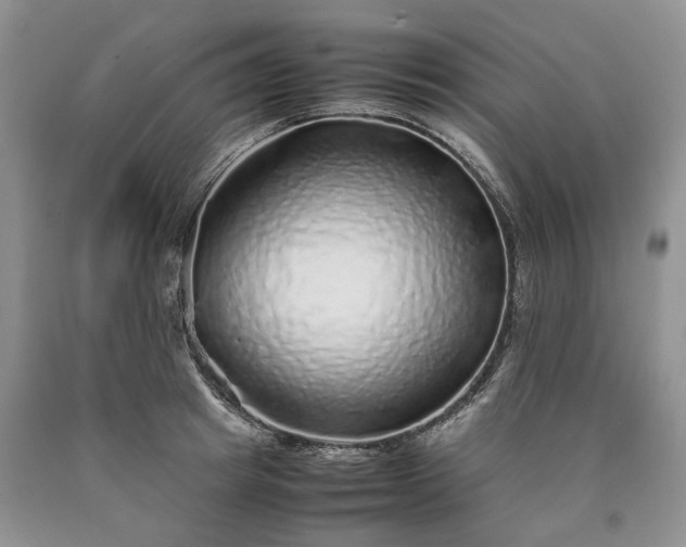 X0000090450849200707201312