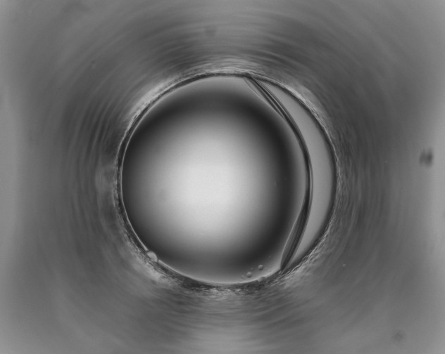 X0000090450850200707201312