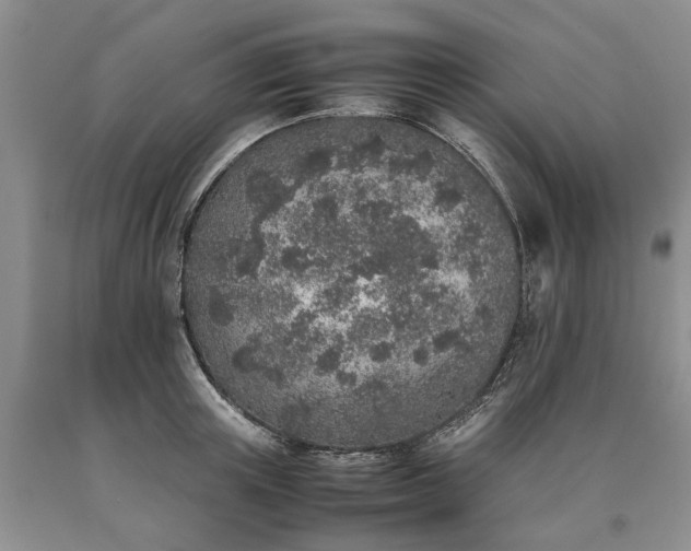 X0000090450851200707201312