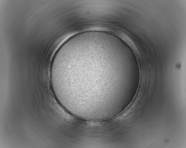 X0000090450852200707201312