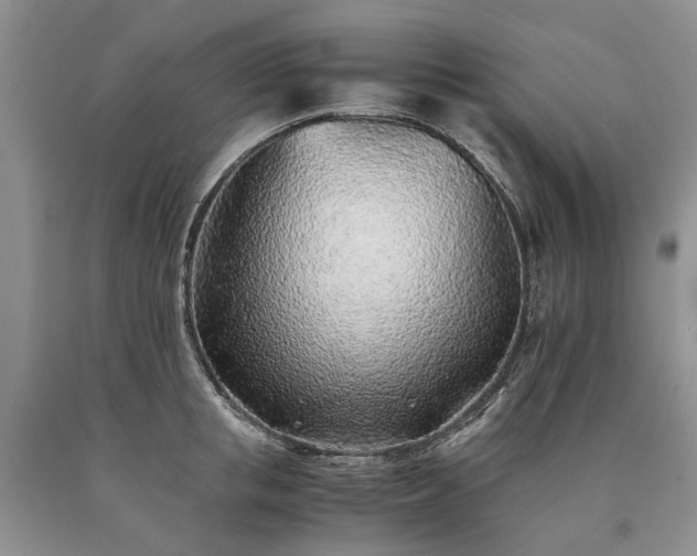 X0000090450853200707201312