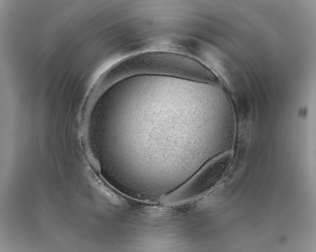X0000090450854200707201312
