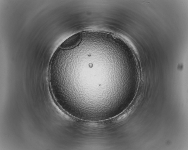 X0000090450855200707201312