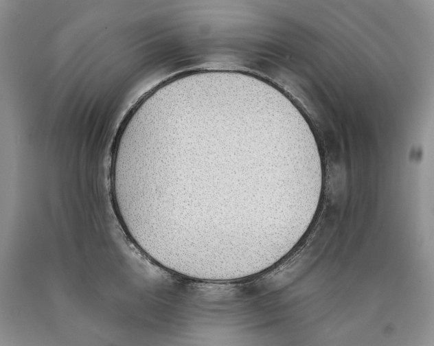 X0000090450856200707201312