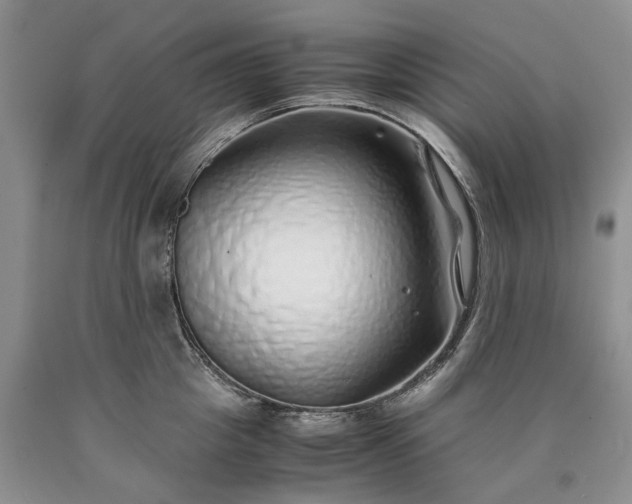 X0000090450857200707201312