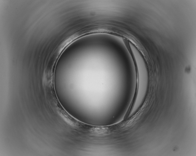 X0000090450858200707201312