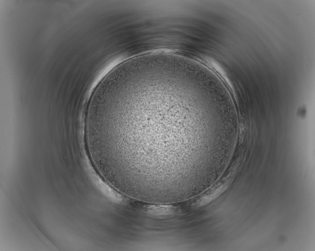 X0000090450859200707201312