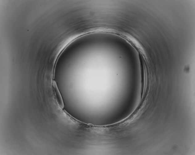 X0000090450860200707201312