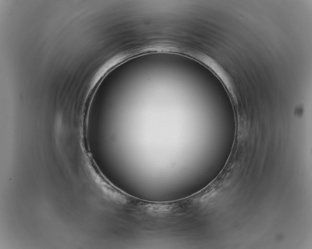 X0000090450861200707201312