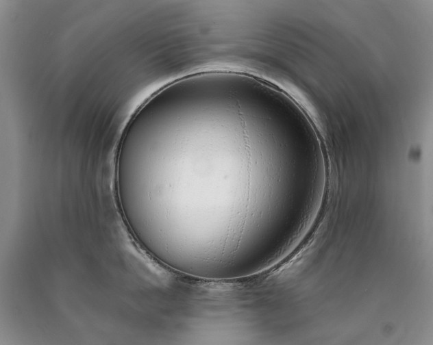 X0000090450862200707201312