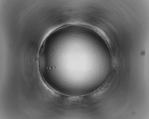 X0000090450863200707201312