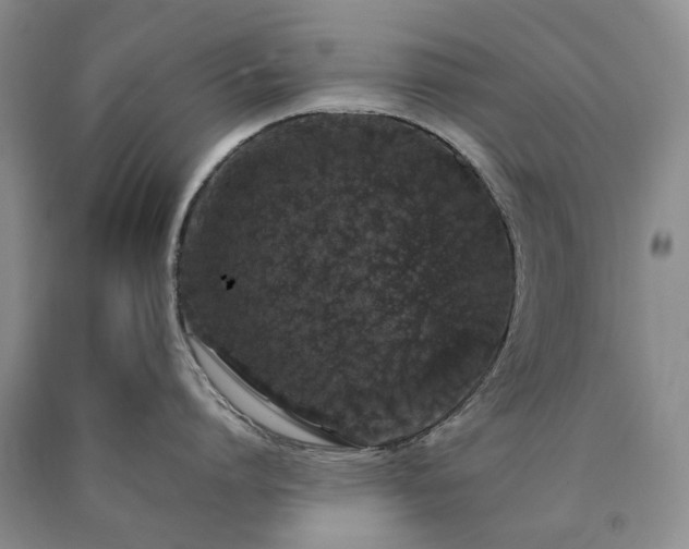 X0000090450864200707201312