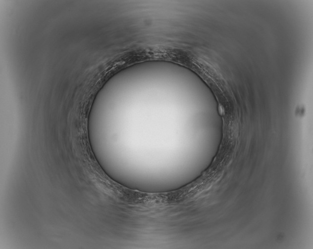 X0000090450865200707201312