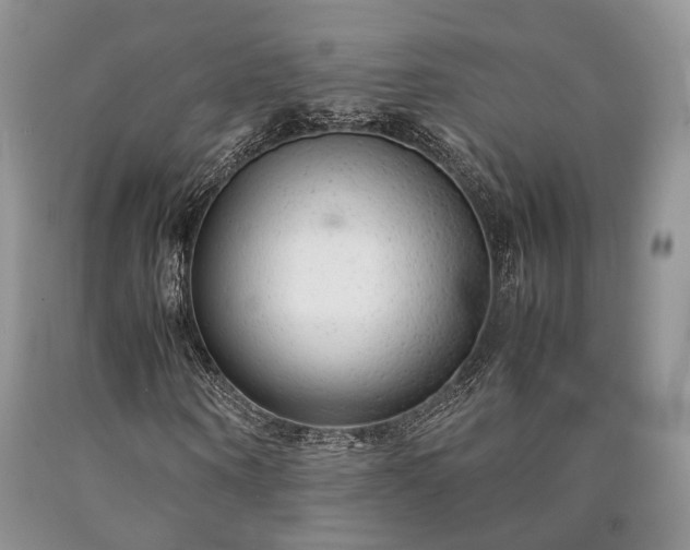 X0000090450866200707201312