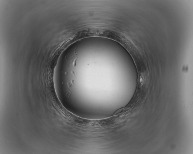 X0000090450867200707201312