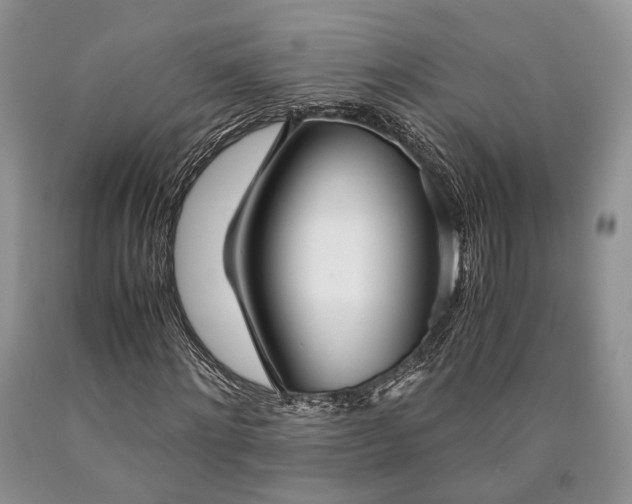 X0000090450868200707201312