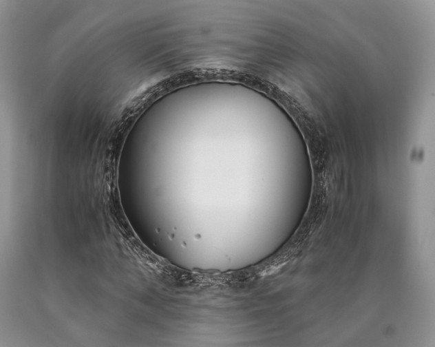 X0000090450870200707201312