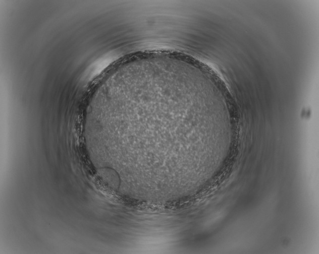 X0000090450871200707201312