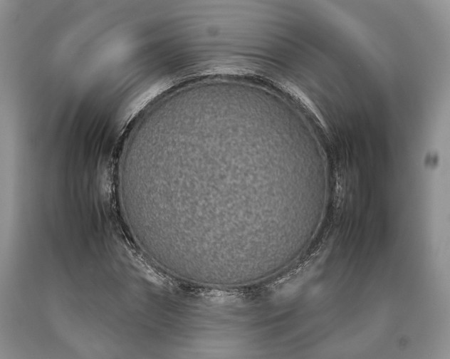 X0000090450874200707201311