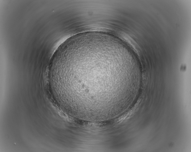 X0000090450875200707201311