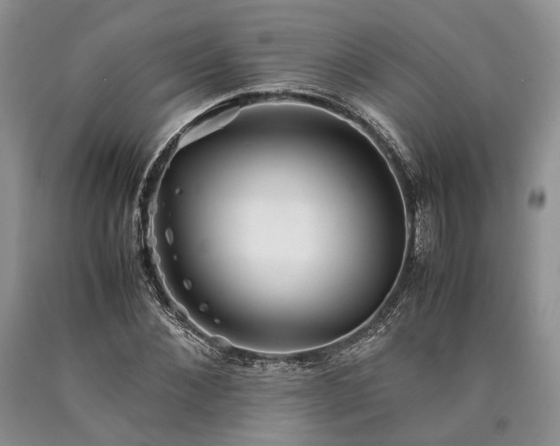 X0000090450876200707201311