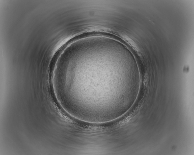 X0000090450877200707201311
