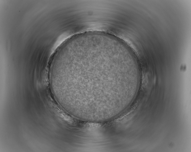 X0000090450878200707201311