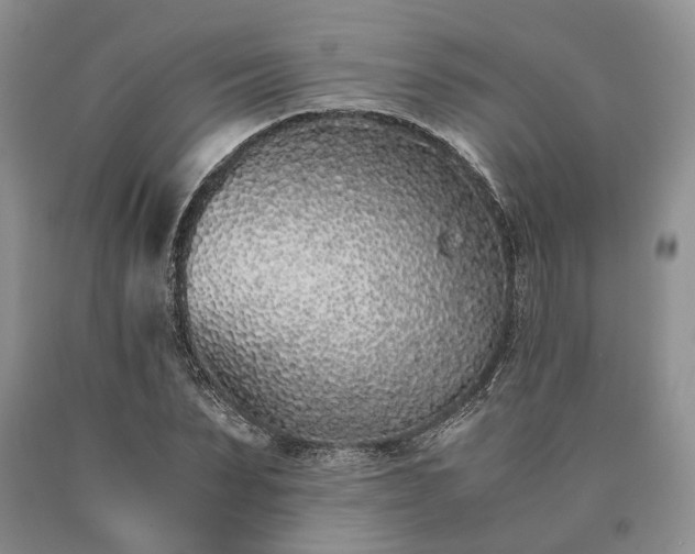 X0000090450879200707201311