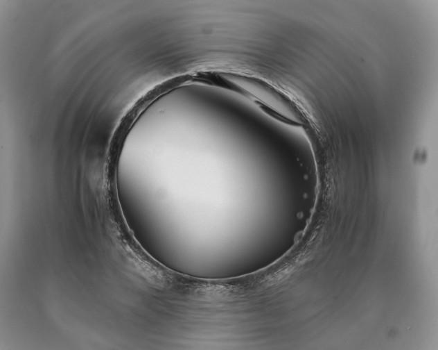 X0000090450880200707201311