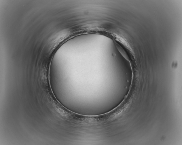 X0000090450881200707201311