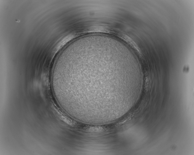 X0000090450882200707201311