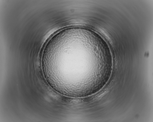 X0000090450883200707201311
