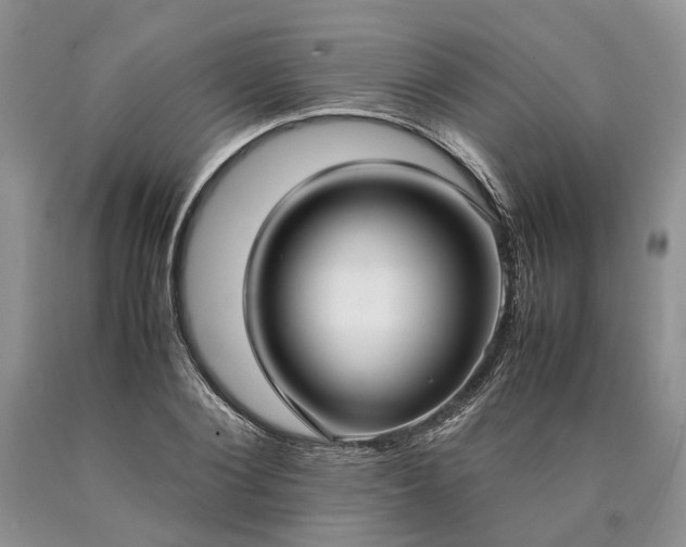 X0000090450884200707201311