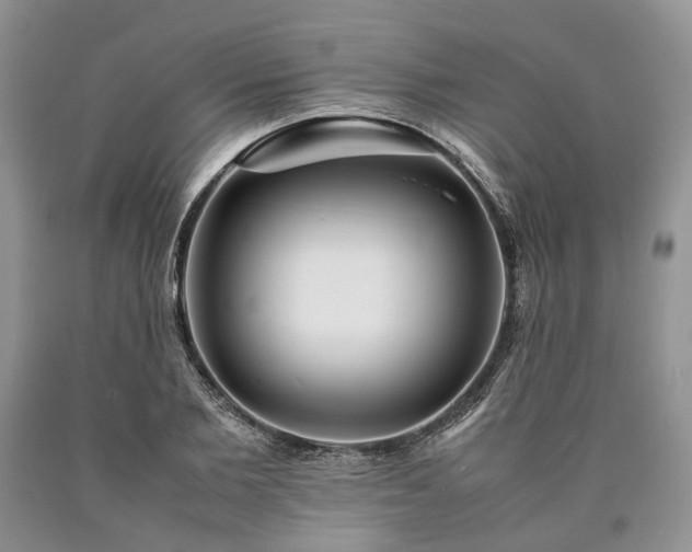 X0000090450885200707201311