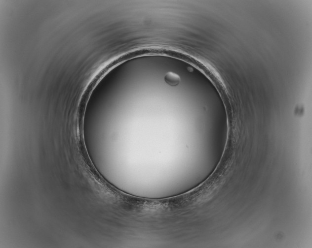 X0000090450887200707201311