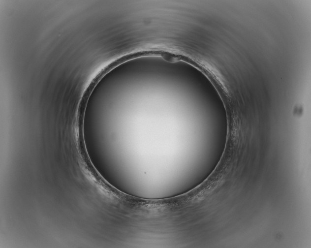 X0000090450888200707201311