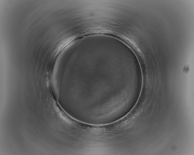 X0000090450889200707201311