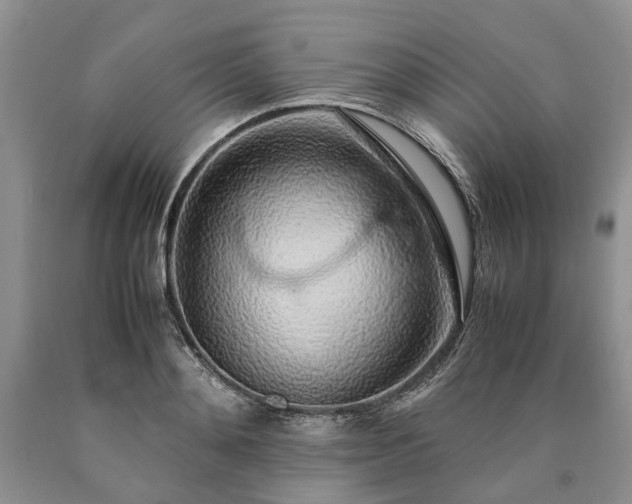 X0000090450892200707201311
