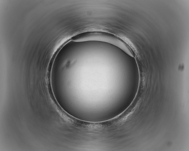X0000090450893200707201311