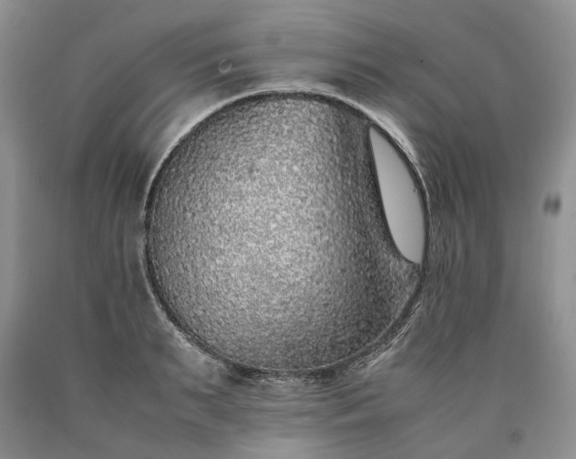 X0000090450895200707201311
